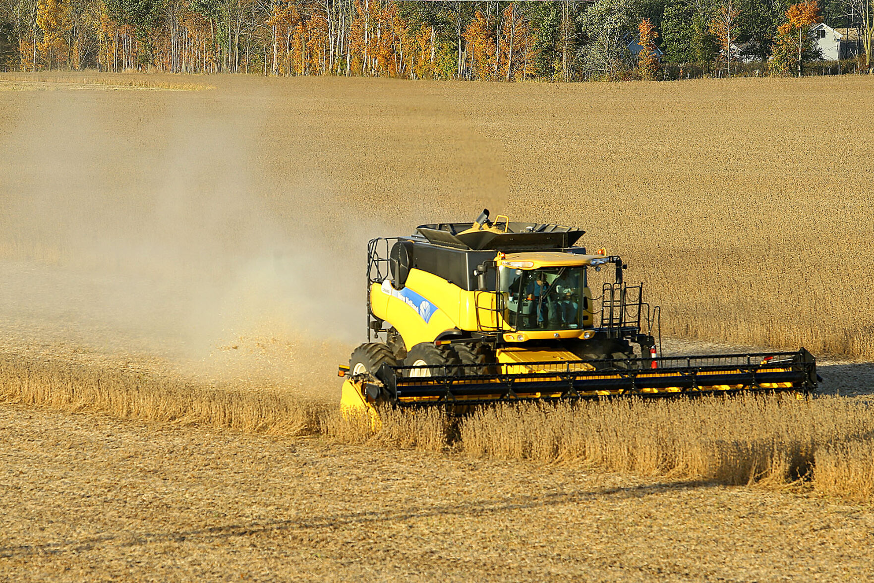 Harvesting Soybeans 02.jpg